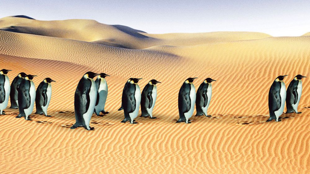 Doccie: More Inconvenient Truth