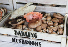 Market: Groote Post Food/Wine