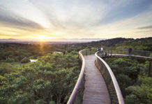 48hrs In Cape Town?