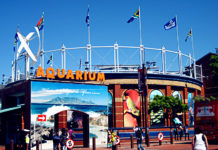 Museum Night: V&A Waterfront