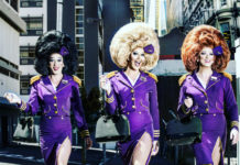 Trolley Dollies: Chicken or beef? 'Trolley Dollies'