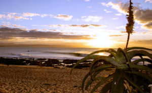 Corona Open J-Bay