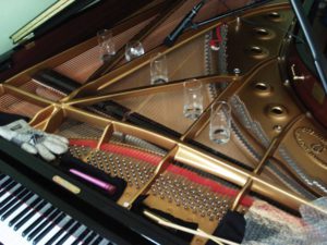 Pianist Jill Richards will collaborate with video artist Jurgen Meekel