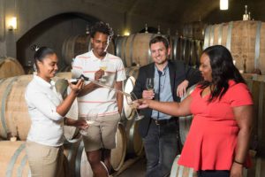 Nedbank Cape Winemakers Guild Auction Showcase