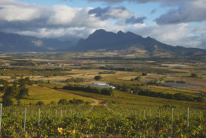 La Capra Goat Run at Fairview Wine and Cheese, Paarl