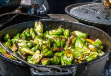 Delicacy: Waterblommetjie Fest Waterblommetjie Festival Paarl, potjiekos, Boland region Cape, Paarl wine producers