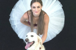Dancers Love Dogs Artscape