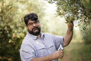 TOKARA: 2018 SA Olive Awards