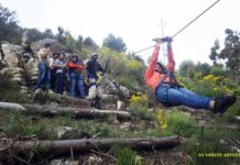 Cape Town Ziplines tour cape town ziplines sa forestadventures book tickets