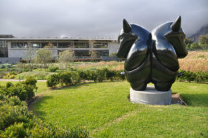 Cape Town Art Gallery Guide