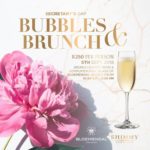 Shimmy Bubbles & Brunch