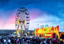 The Rand Show 2019 tickets The Rand Show tickets Johannesburg