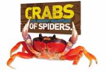 Nat Geo Kids Weird But True Nat Geo Kids Weird But True exhibition