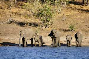 Take a trip to Victoria Falls