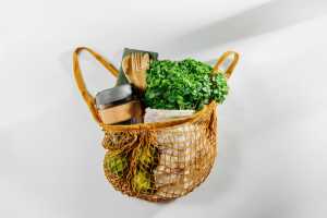 The Vegan and Plant Powered Show 