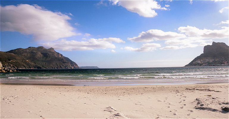5 BEST BEACHES FOR DOGS IN CAPE TOWN