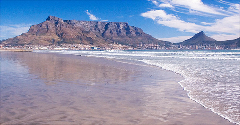 5 BEST BEACHES FOR DOGS IN CAPE TOWN