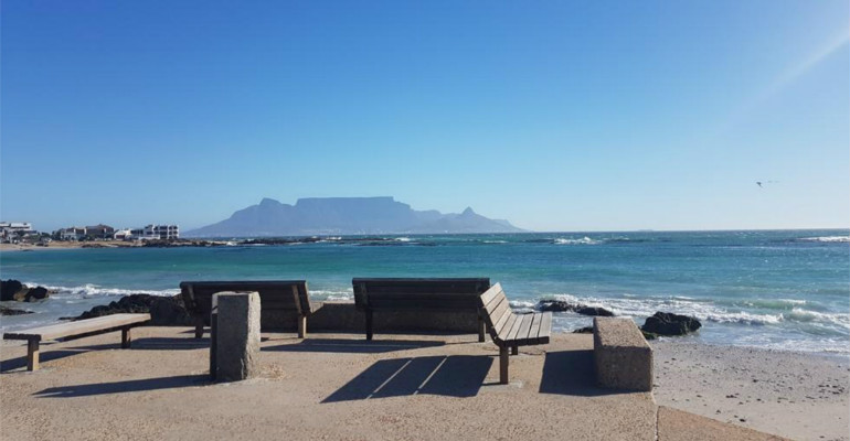 5 BEST BEACHES FOR DOGS IN CAPE TOWN