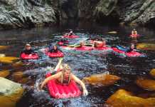 After lockdown – The Garden Route