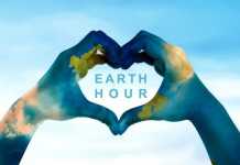 Earth Hour 2021: Global Virtual Event Earth Hour 2021: Global Virtual Event