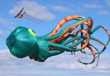 Hybrid Cape Town International Kite Fest Hybrid Cape Town International Kite Festival 2021