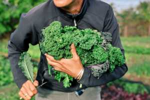 Spier Food Garden Workshops