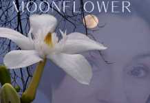 Christine Weir On the Folkin’ Fringe podcast Christine Weir Moonflower FMR On the Folkin’ Fringe