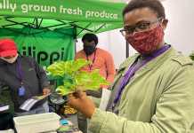 The Plant Powered Show – a plant-based food expo The Plant Powered Show 2022