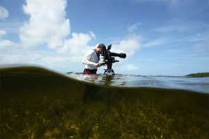 America’s National Parks on National Geographic Wild
