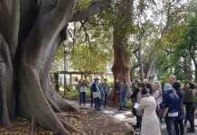 Company’s Garden Trees & Design Tour Company’s Garden Tree tour