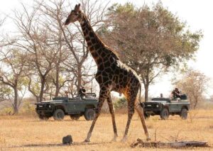 Multichoice WildEarth DStv Access subscribers
