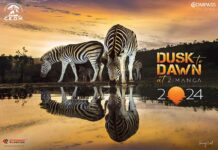 CROW – From Dusk to Dawn Crow Animal Rehabilitation