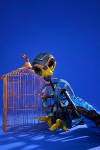 Mozart's The Magic Flute by Cape Town Opera