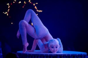 The Royal Countess Zingara: La Dolce Royal