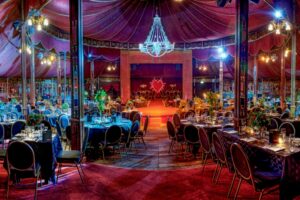 The Royal Countess Zingara: La Dolce Royal