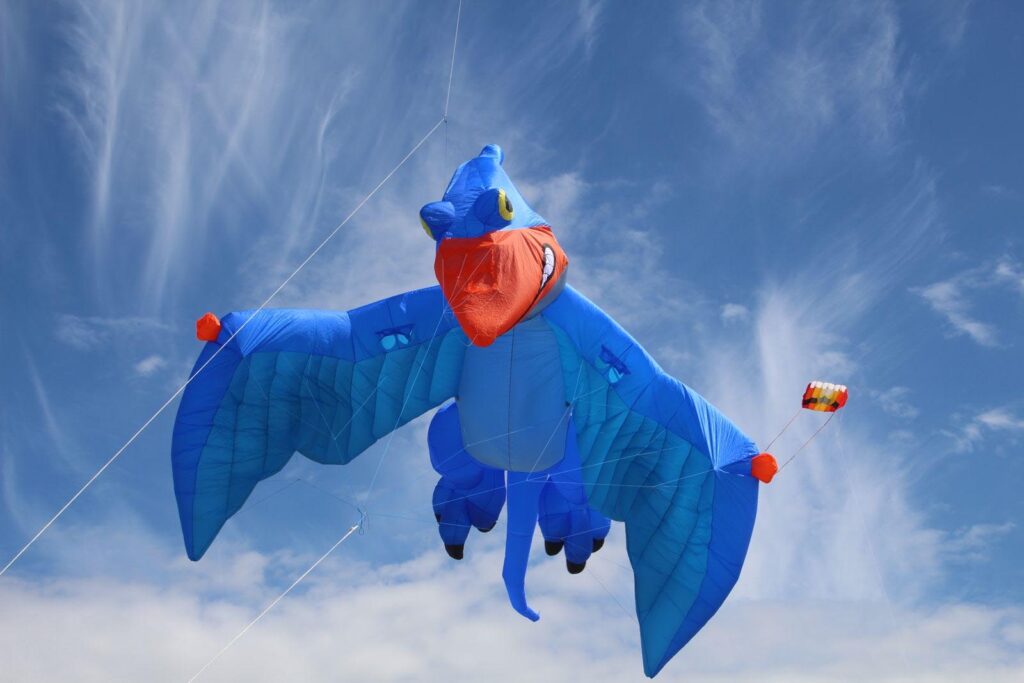 Cape Town International Kite Festival tickets