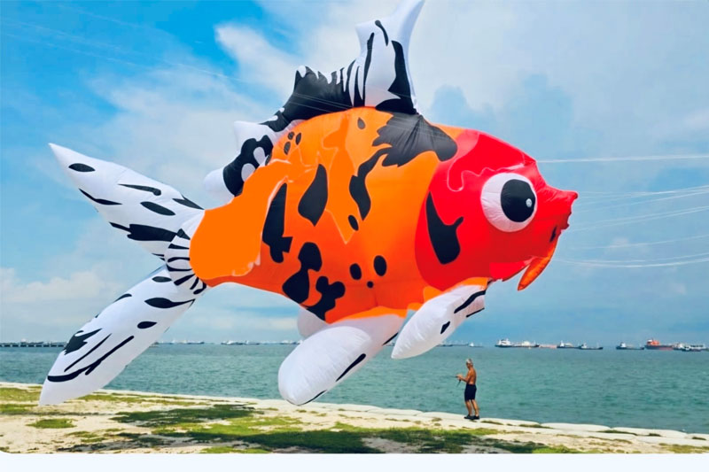 Cape Town International Kite Festival tickets