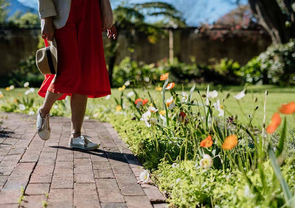Spring garden walks at Vergelegen