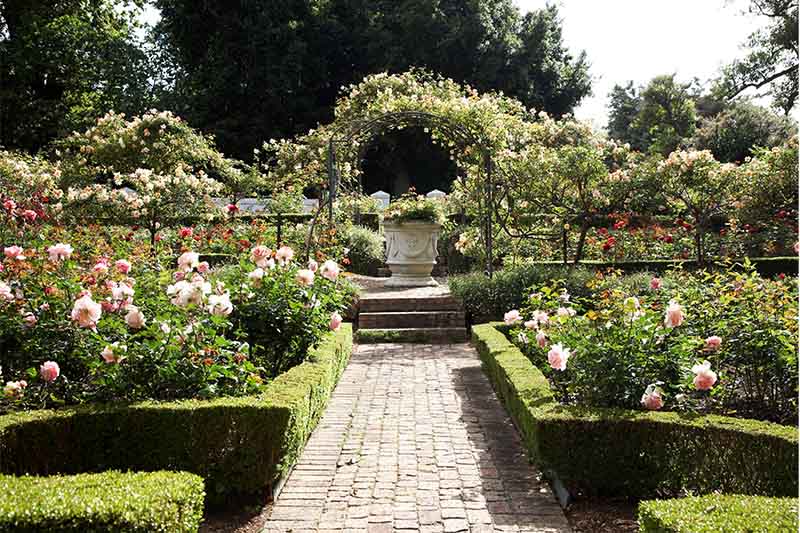Cellars-Hohenort gardens and support St Luke’s Hospice