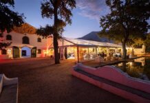 Get your Wine Harvest Commemorative Event tickets! The Wine Harvest Commemorative Event Marks the Start of South Africa's Harvest Season
