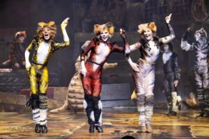 Cats at Artscape review