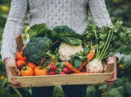 What’s on display at Organic & Natural Products Expo Africa Tickets for the Organic & Natural Products Expo