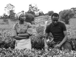 Zeitz MOCAA’s Pan-African Film Caravan screens Stories of Our Lives Image still from Stories of Our Lives (2014). Courtesy of the artist and Big World Cinema.