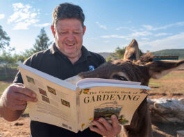 Thousands of books at Eseltjiesrus Donkey Sanctuary Book Fair Donkey Care, Welfare and Farm Manager Stan Davidoff and Hansel. Picture Jackie Wernberg
