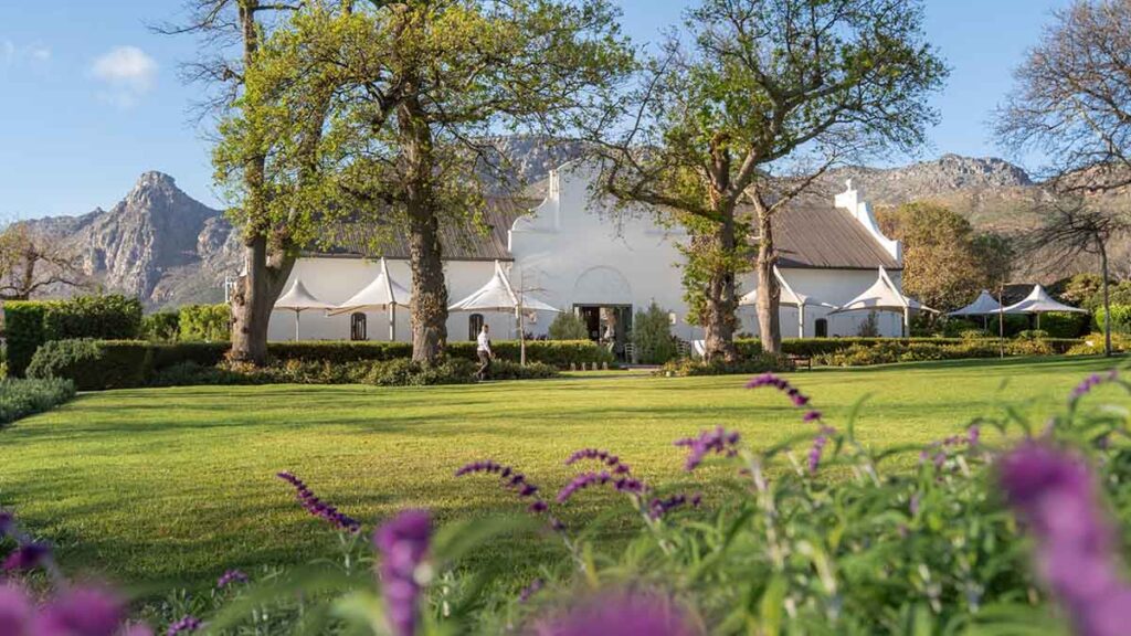 Steenberg restaurants Tryn reservations