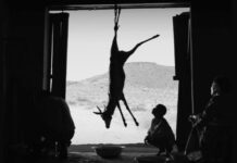 Hen is a real South African horror film Hen a real South African horror film