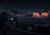 Tintswalo Thermal Night Safari & Stargazing Experience