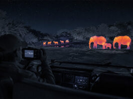 Tintswalo introduces a Thermal Night Safari & Stargazing Experience Tintswalo Thermal Night Safari & Stargazing Experience