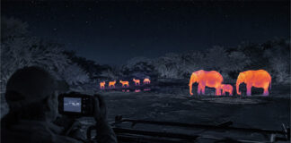 Tintswalo introduces a Thermal Night Safari & Stargazing Experience Tintswalo Thermal Night Safari & Stargazing Experience