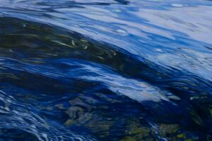 Open Studios Fish Hoek & Clovelly (OSFHC) 2026